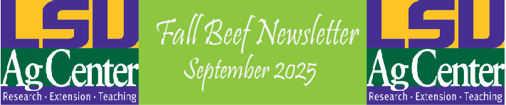 Fall Beef Newsletter - September 2025